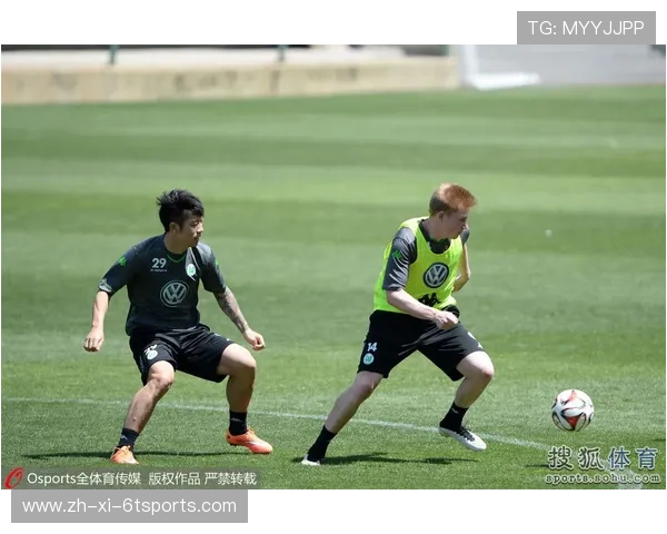 德甲球队关系图谱最新更新及联盟动态